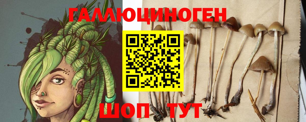 Псилоцибиновые грибы Psilocybe  Вход с VPN  Спасск-Дальний 